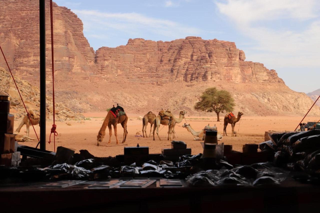 Bedouin desert camp Wadi Rum Exterior foto